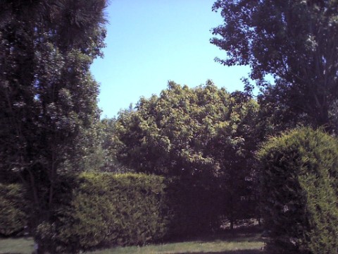 wempl09.jpg